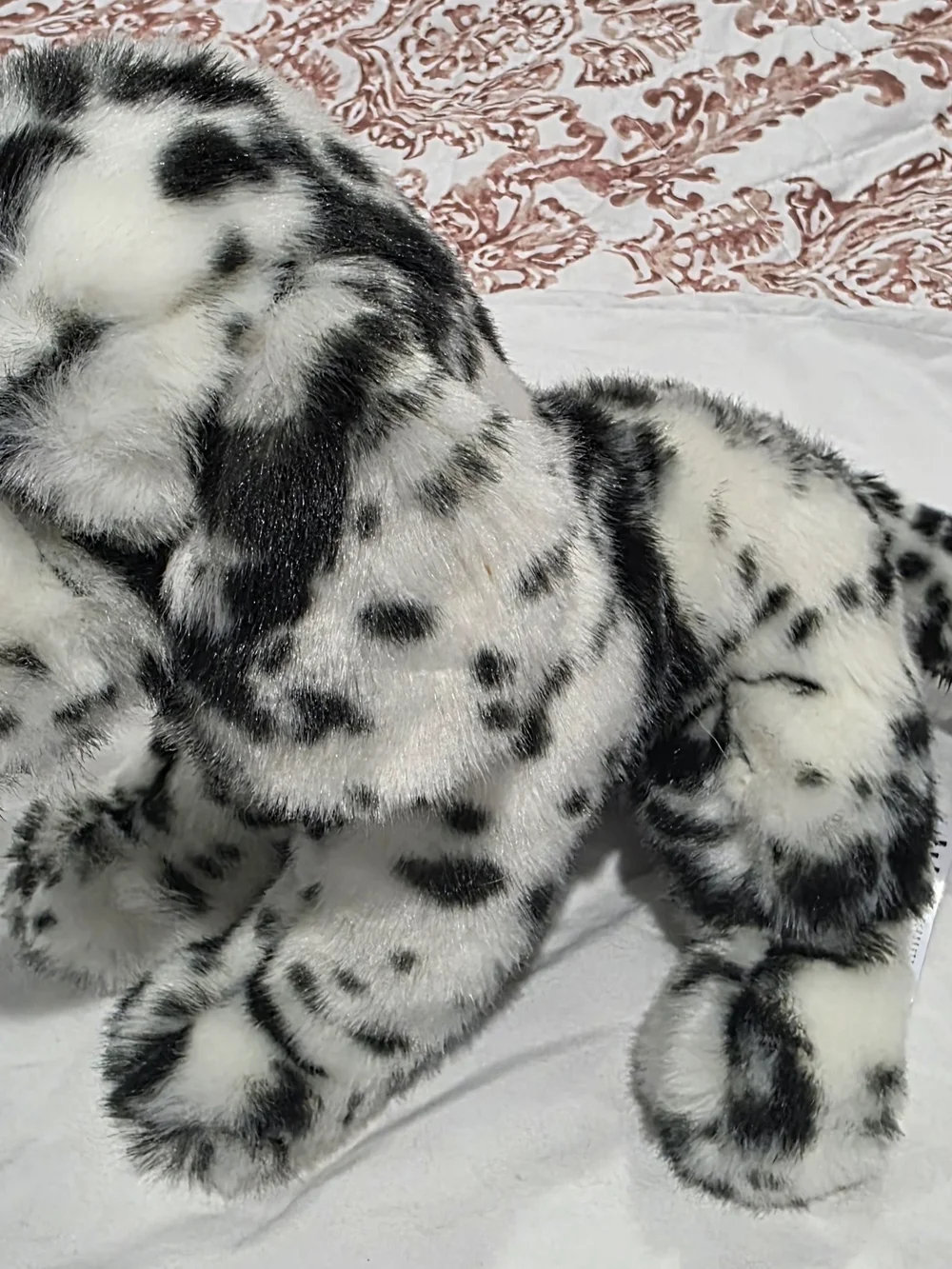 Douglas MACKAY DALMATIAN Dog Puppy Retired